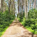 Am Fleesensee-2 By Interhome Silz (Mecklenburg-Vorpommern)